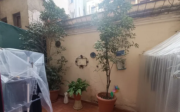 Piso en Calle Nou de Sant Francesc, 9, El Gòtic - Foto 33