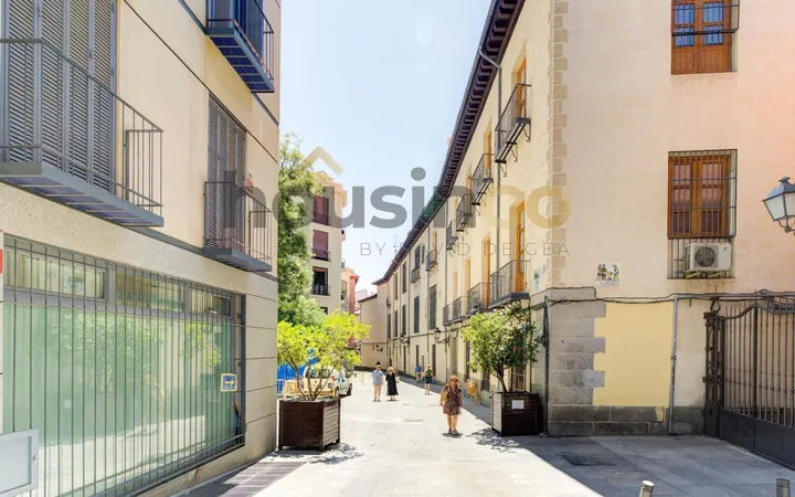 Piso en Calle de la Pasa, Palacio - Foto 21