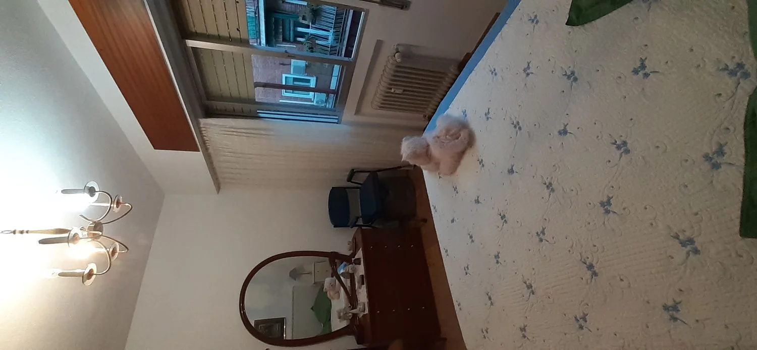 Piso en calle del Cañaveral, 81 - Foto 16