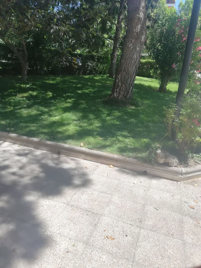 Piso en Avenida del Doctor Federico Rubio y Galí, 69 - Foto 5