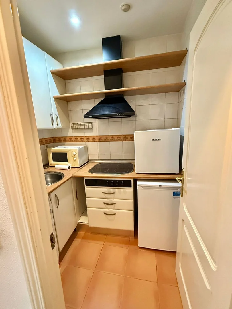 Piso en Barrio Lavapiés-Embajadores - Foto 22