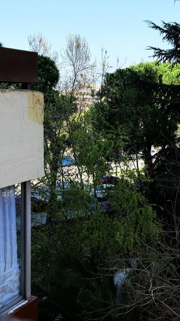 Piso en carretera de Canillas, 106 - Foto 4