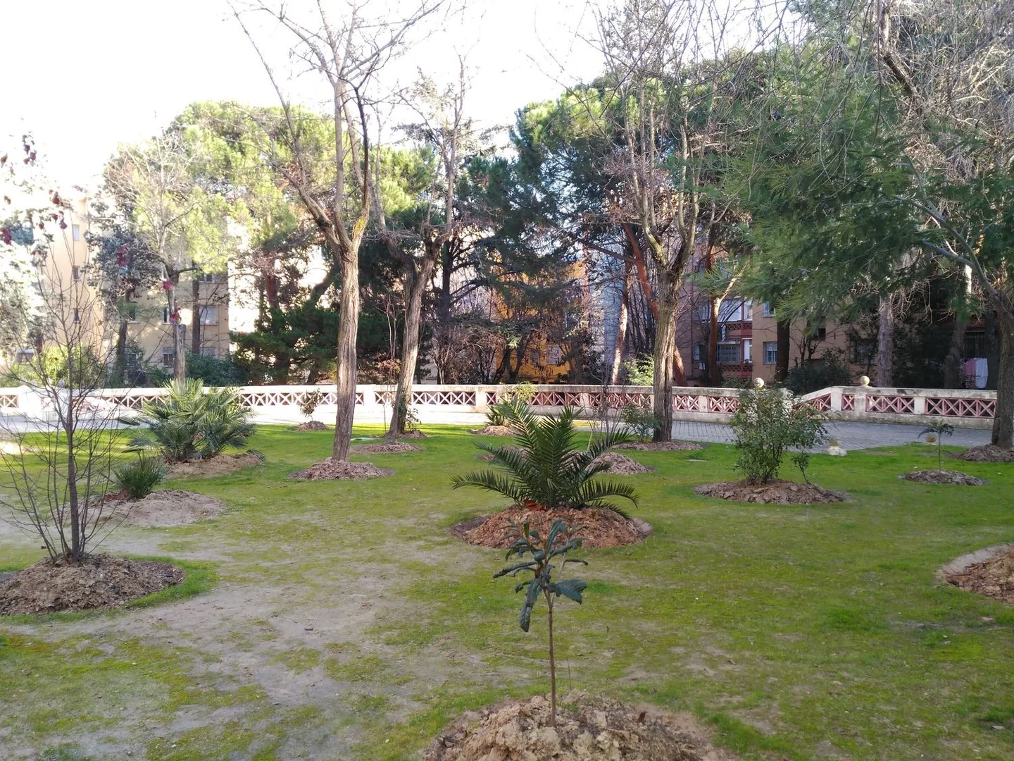 Estudio en Avenida de Portugal, 125, Puerta del Ángel - Foto 3