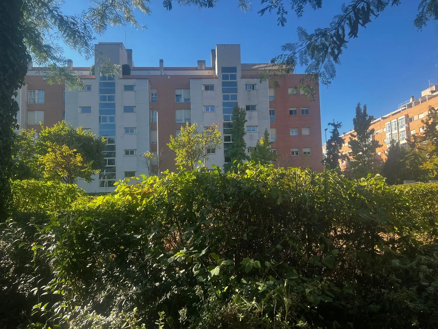 Piso en paseo de la Alameda de Osuna, 50 - Foto 3