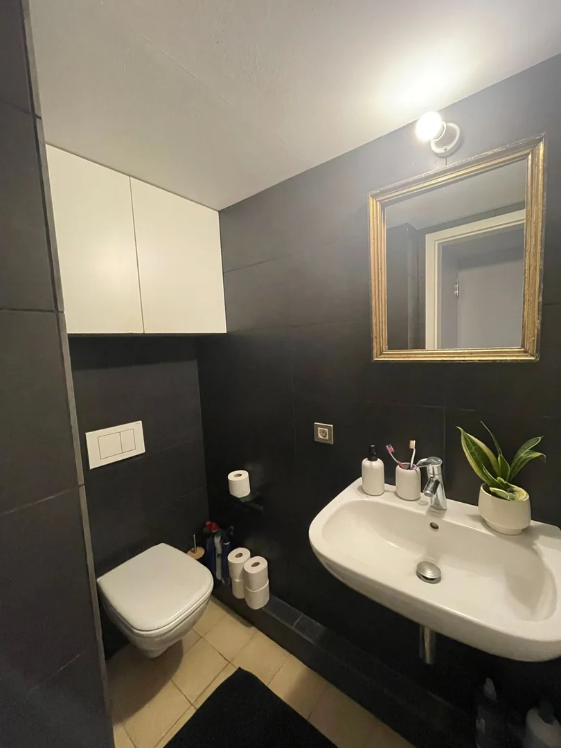 Estudio en Plaza del Pedró, 3, El Raval - Foto 2