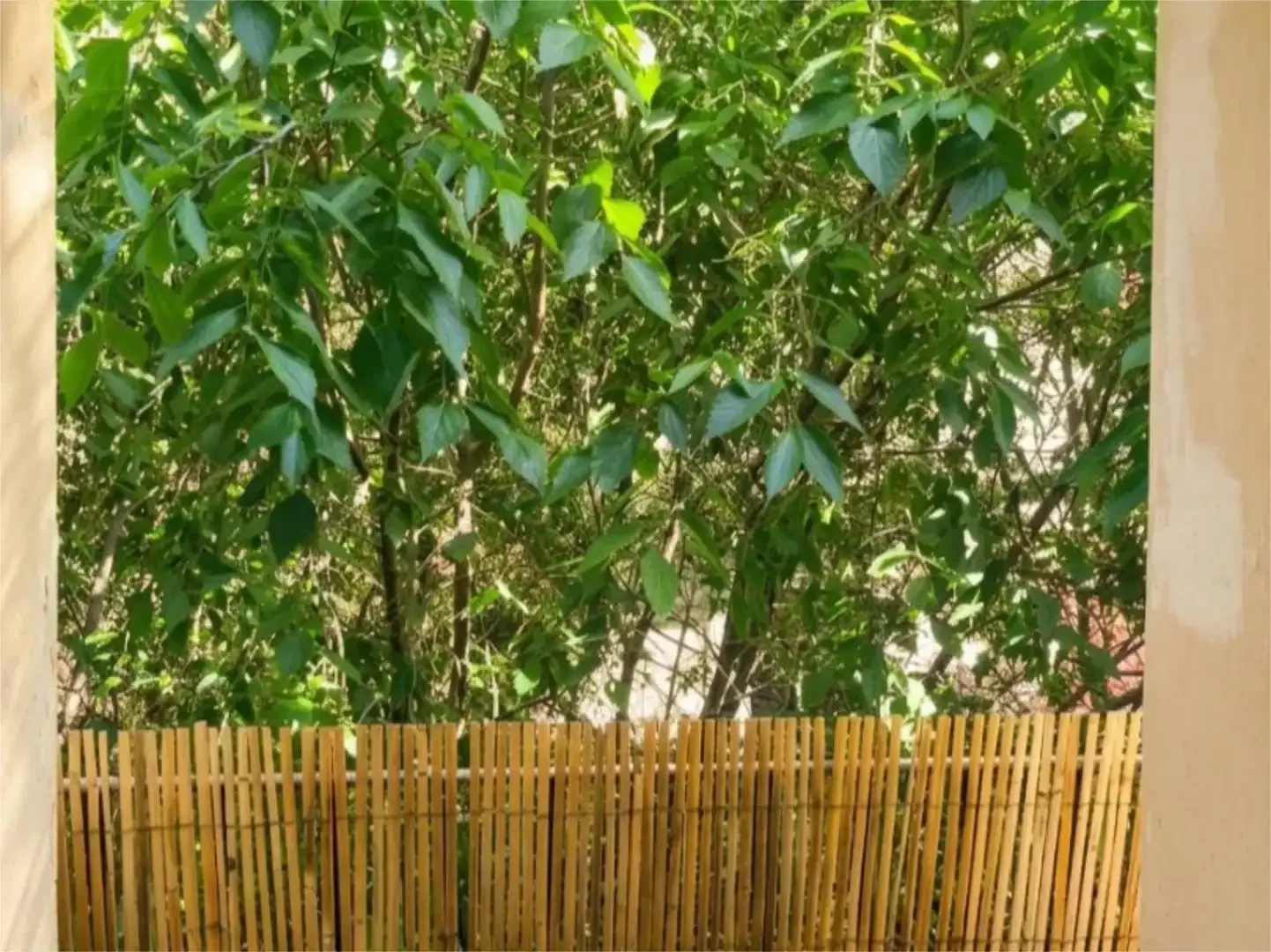 Piso en  Carrer de Margarit 12 - Foto 22