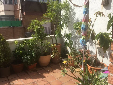 Ático en calle Francisca Conde, 3 - Foto 3