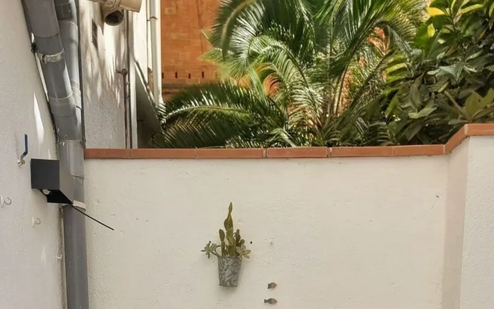 Piso en Calle de Pau Alsina, 12, El Camp d'En Grassot i Gràcia Nova - Foto 3