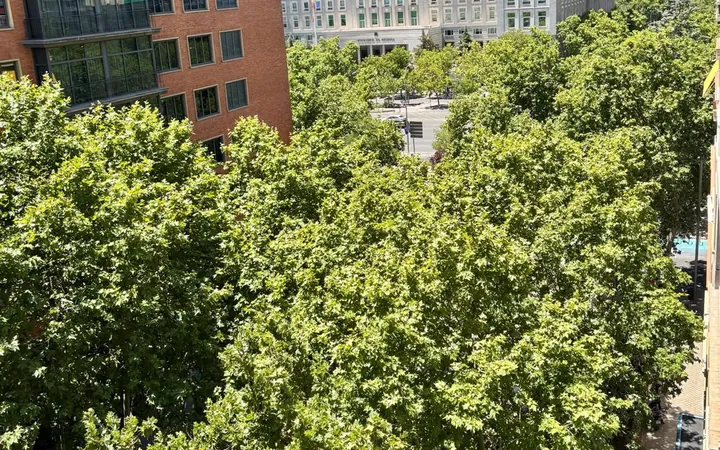 Piso en Bernabéu-Hispanoamérica, Bernabéu-Hispanoamérica - Foto 39