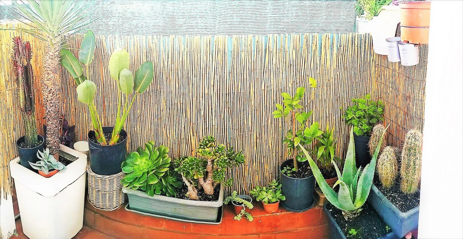 Ático en Barrio El Gòtic - Foto 8