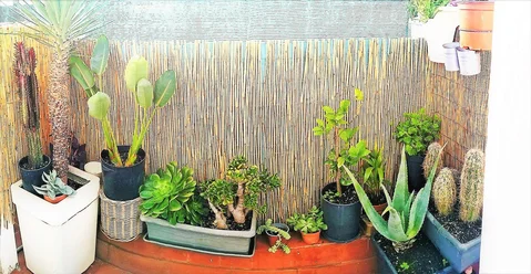 Ático en Barrio El Gòtic - Foto 8