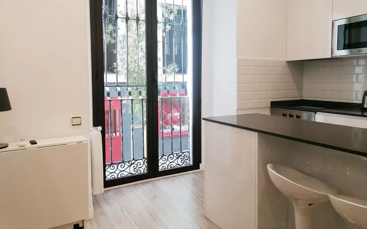 Estudio en Calle del Álamo, 3, Malasaña-Universidad - Foto 1