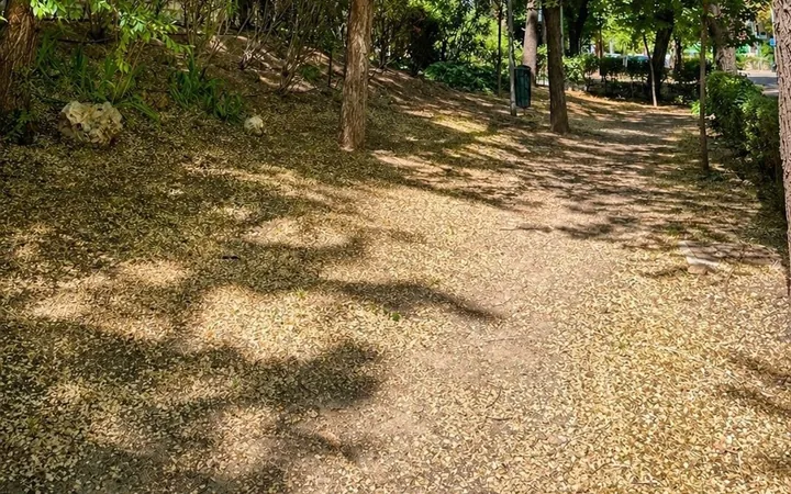 Piso en San Juan Bautista - Foto 30