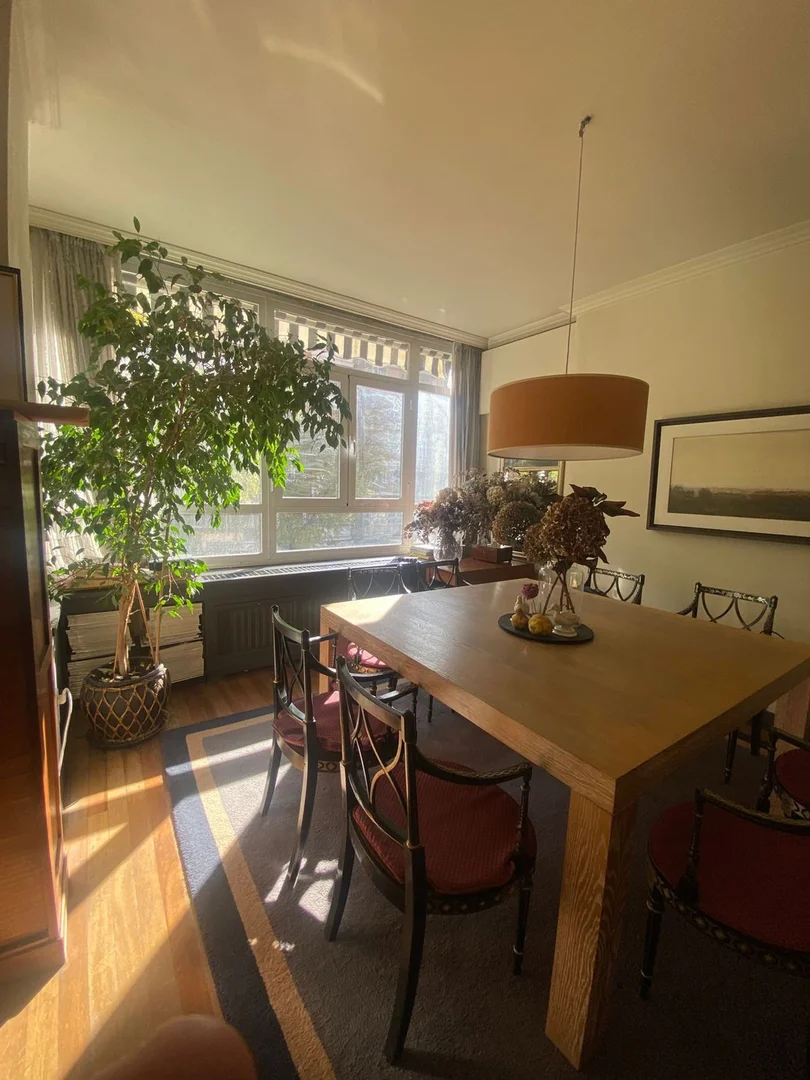 Piso en Barrio El Viso - Foto 7