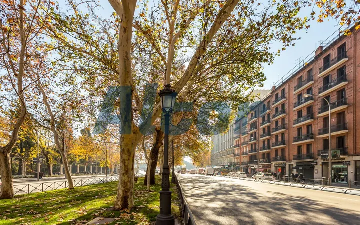 Piso en Paseo del Prado, Huertas-Cortes - Foto 37