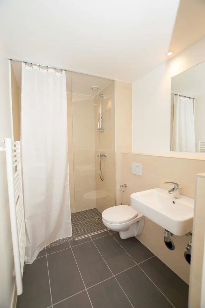 Estudio en C. de los Hermanos Pinzón, 1