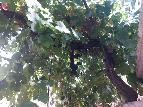 Chalet pareado en N-344, 8 - Foto 25