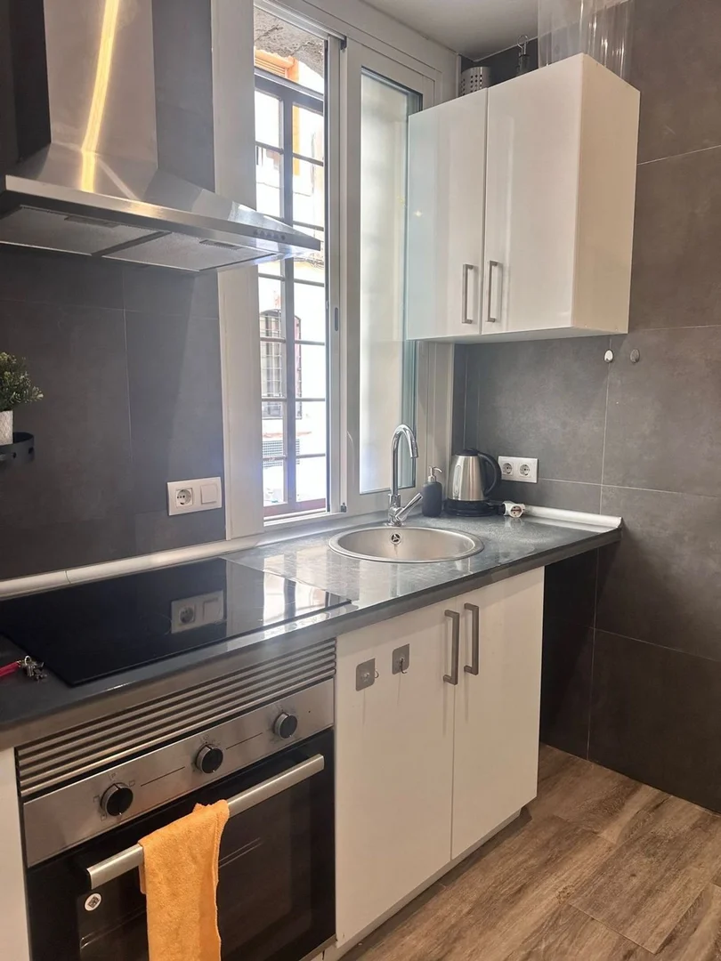 Estudio en calle de l'Almirall Barceló, 4 - Foto 2