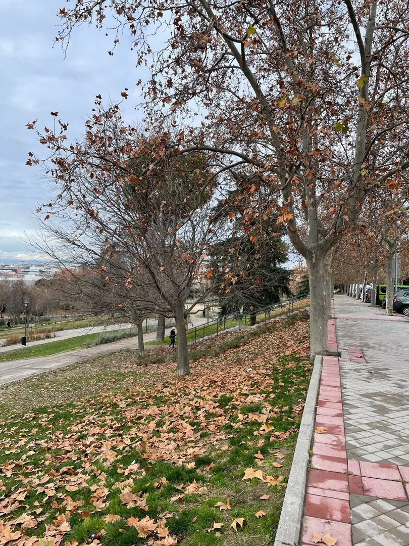 Piso en calle Cordobanes, 15 - Foto 12