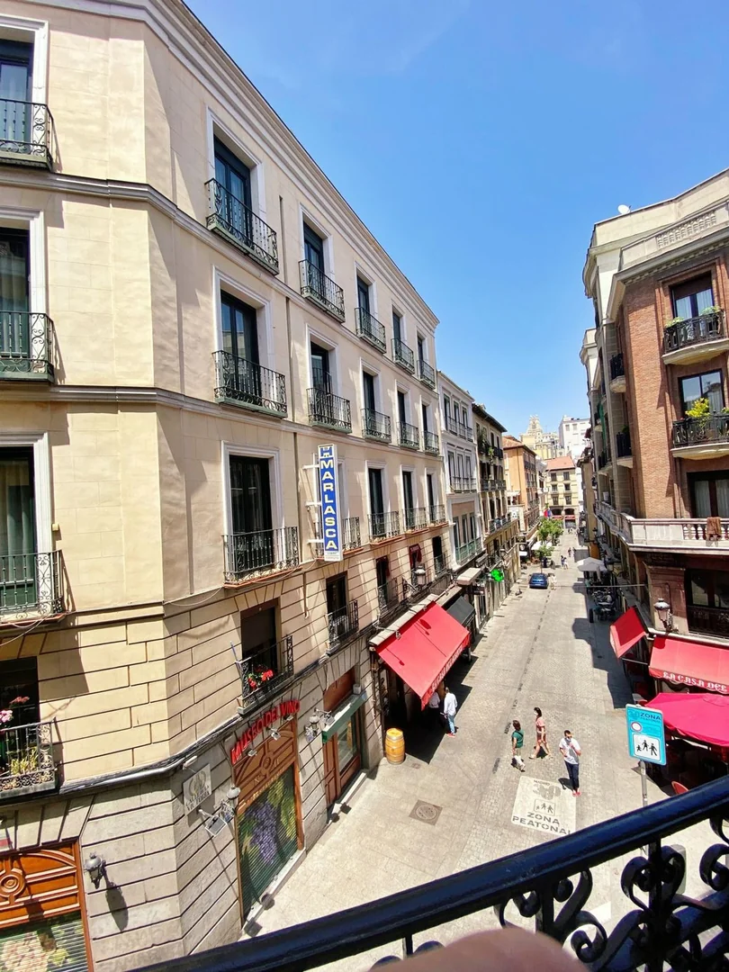 Estudio en Calle de la Cruz, Huertas-Cortes - Foto 20