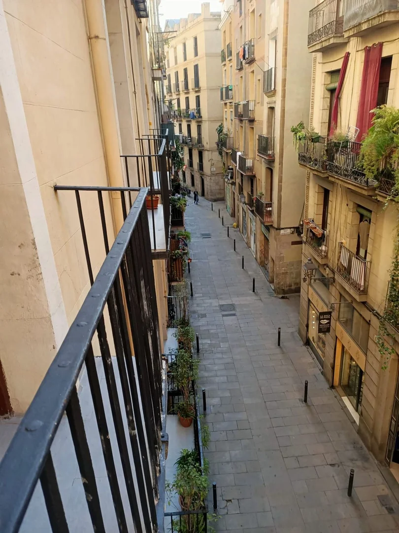 Piso en Calle dels Canvis Vells, 5, Sant Pere - Santa Caterina i la Ribera - Foto 10