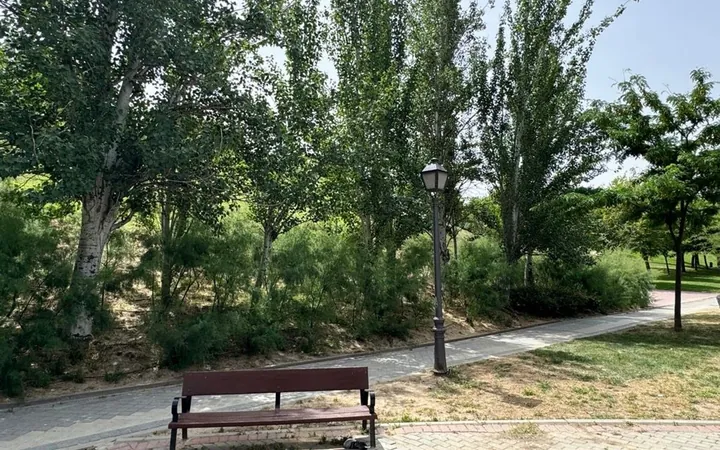 Piso en Calle del Puerto de Navacerrada, 27, Numancia - Foto 27