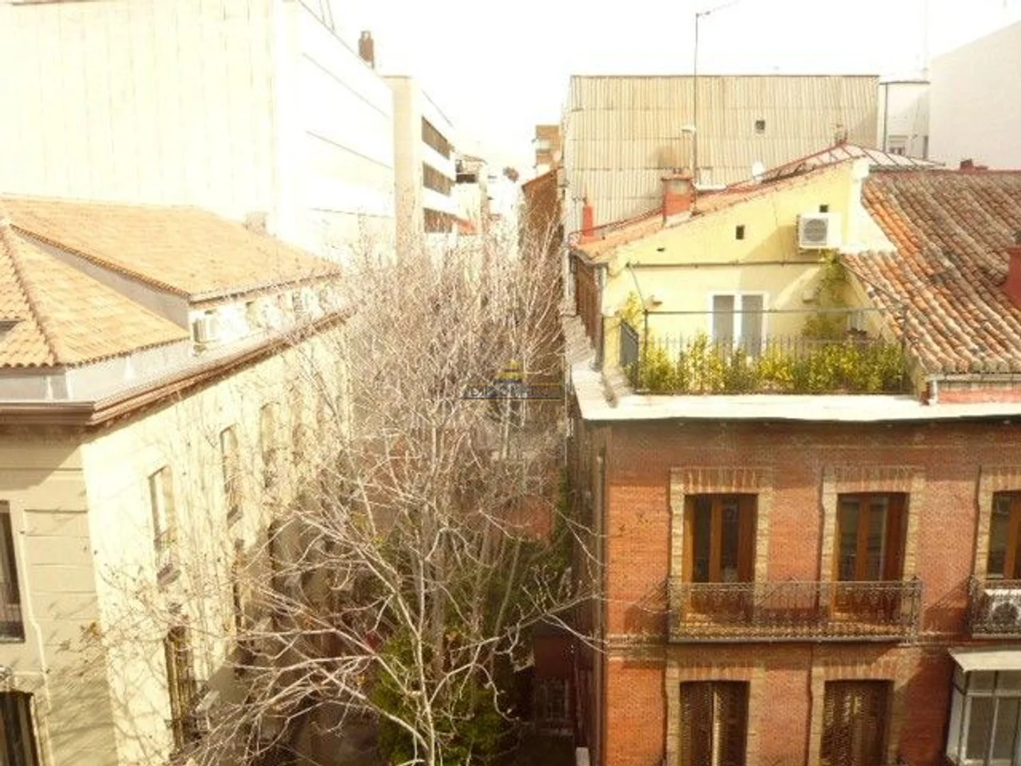Piso en Calle de Padilla, Castellana - Foto 19