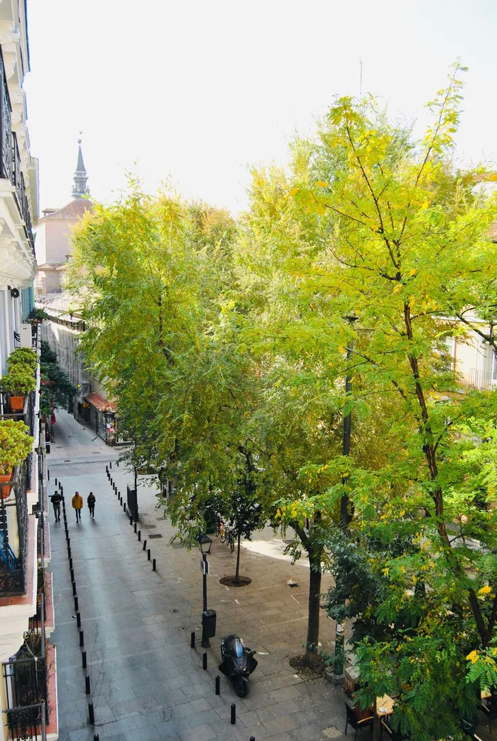 Piso en calle del Molino de Viento, 2 - Foto 21