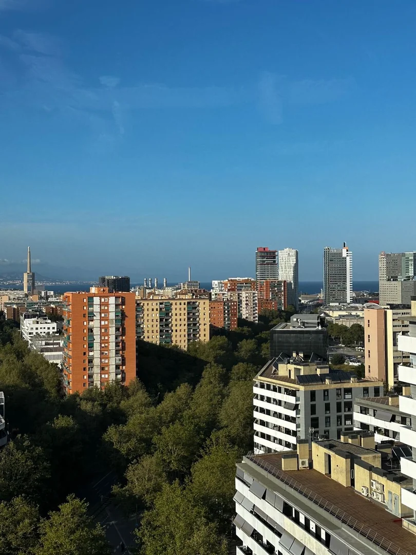 Piso en Calle de Fluvià, 97, Diagonal Mar i el Front Marítim del Poblenou - Foto 8