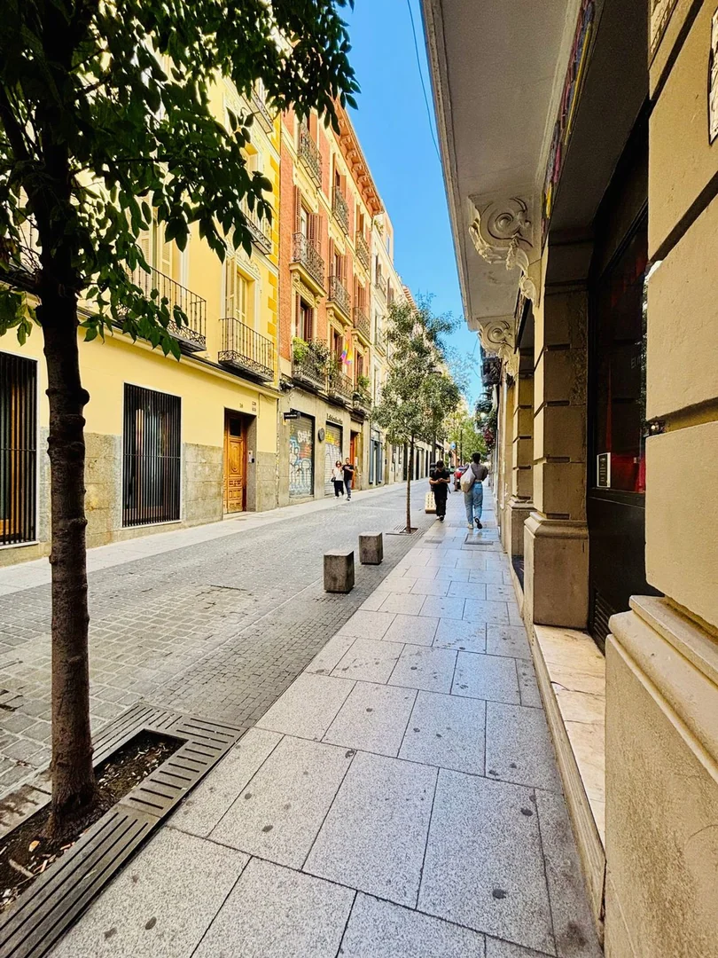 Piso en Calle de Hernán Cortés, 21, Chueca-Justicia - Foto 21