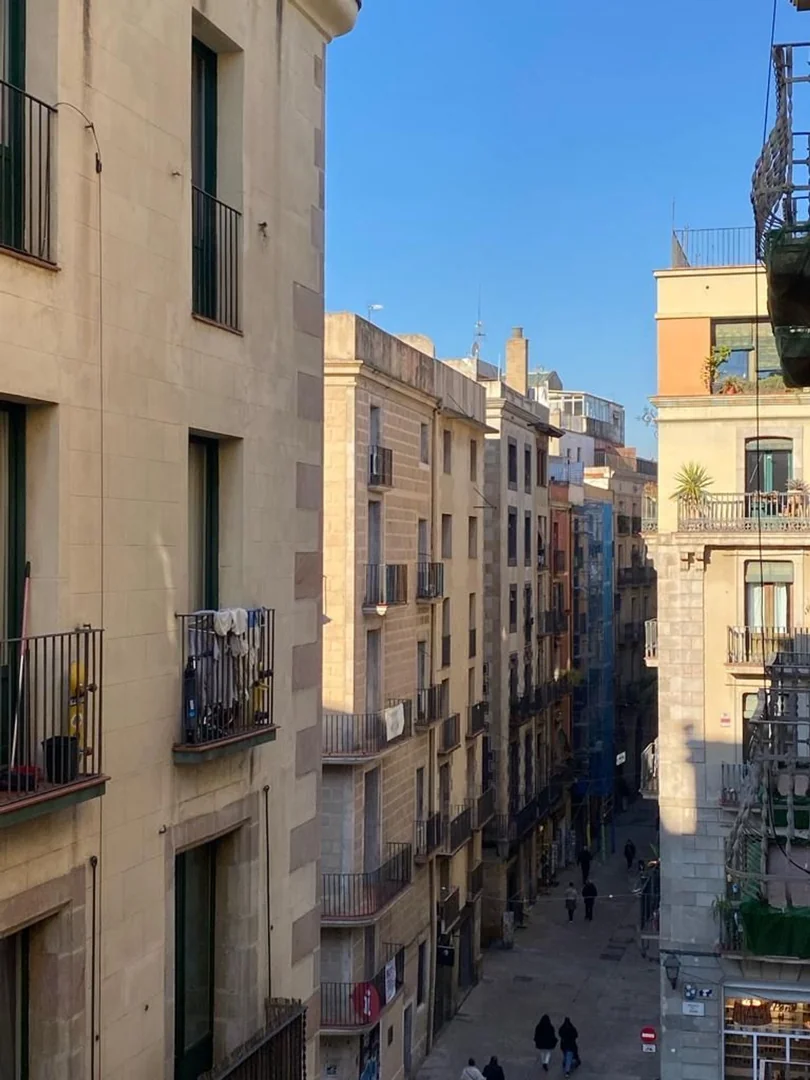 Piso en Calle de la Vidrieria, 5 - Foto 7