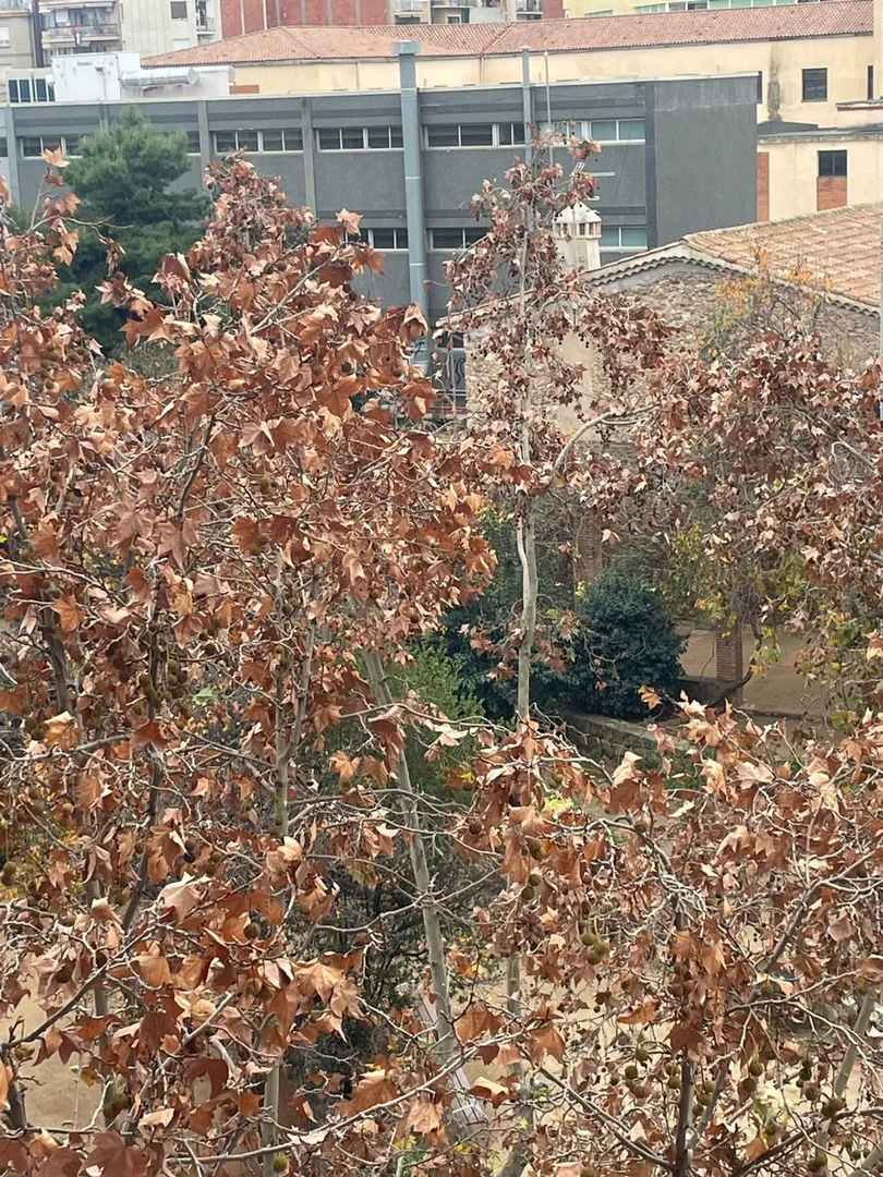 Piso en calle de Conca, 44 - Foto 3