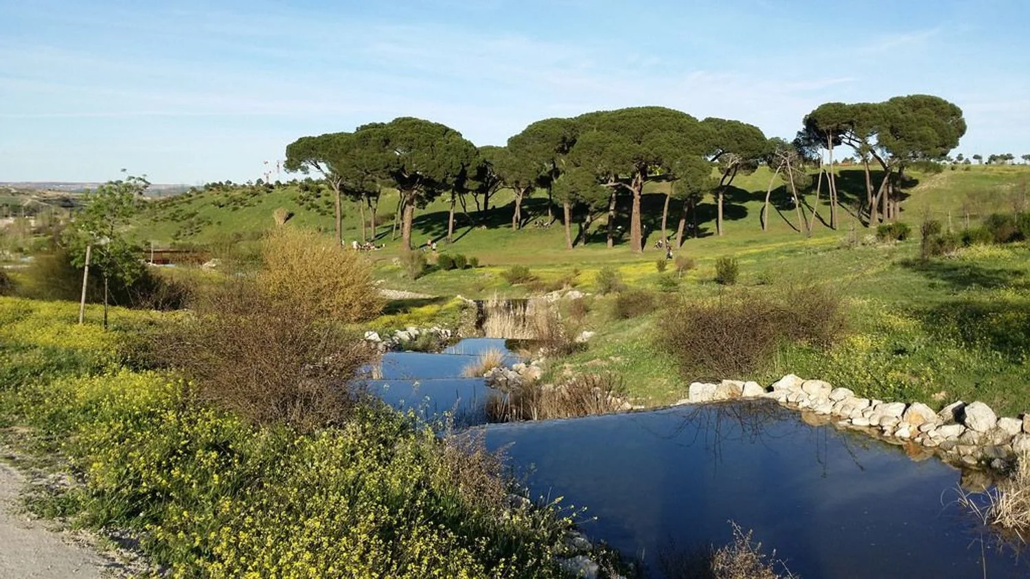 Ático en avenida María de las Mercedes de Borbón, 118 - Foto 20
