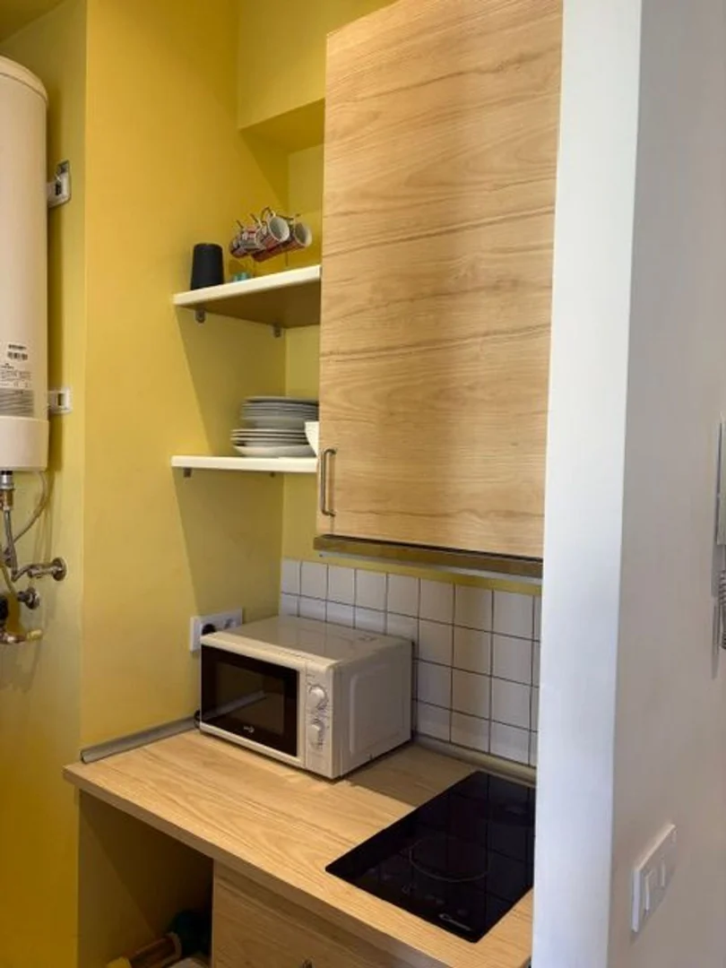 Piso en Plaza de Tirso de Molina, 5, Lavapiés-Embajadores - Foto 3