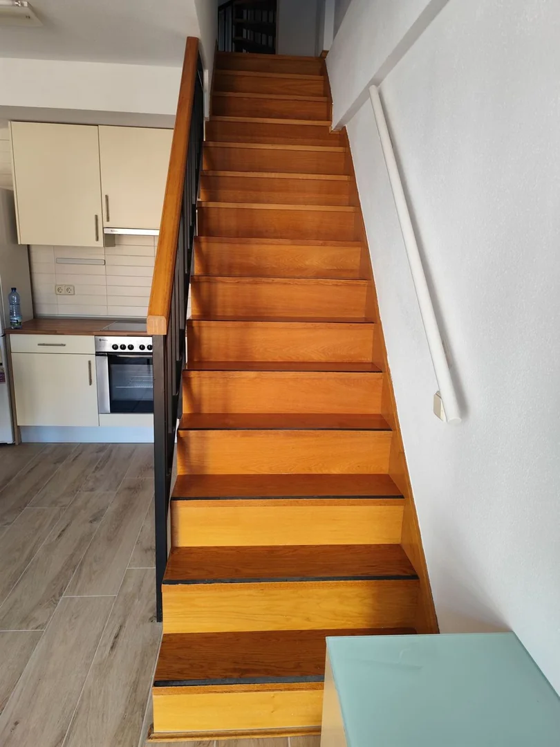 Dúplex en Calle de la Miosotis, 19, Valdeacederas - Foto 12