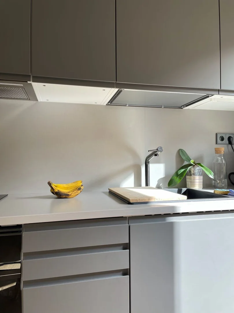 Estudio en Calle de Embajadores, 31, Lavapiés-Embajadores - Foto 11
