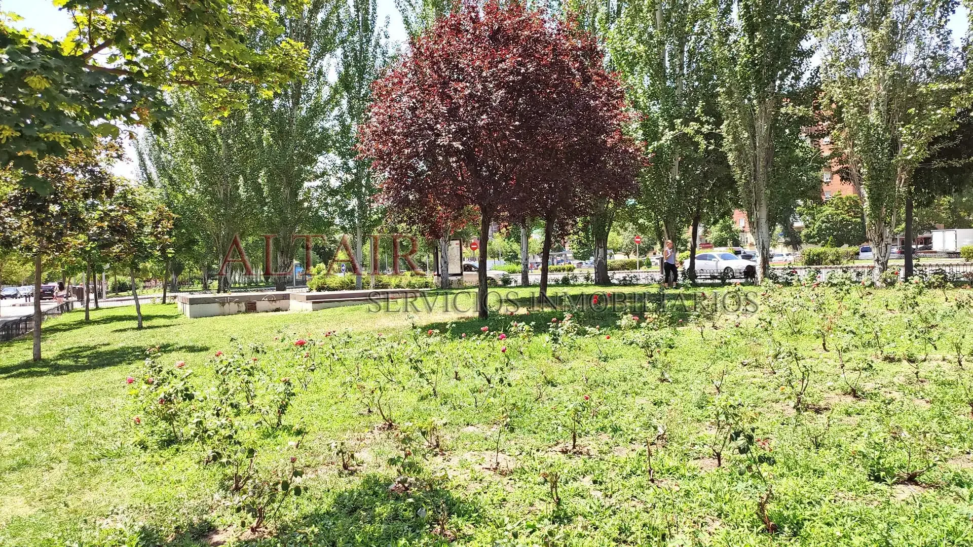Piso en  Avenida de Orovilla - Foto 47