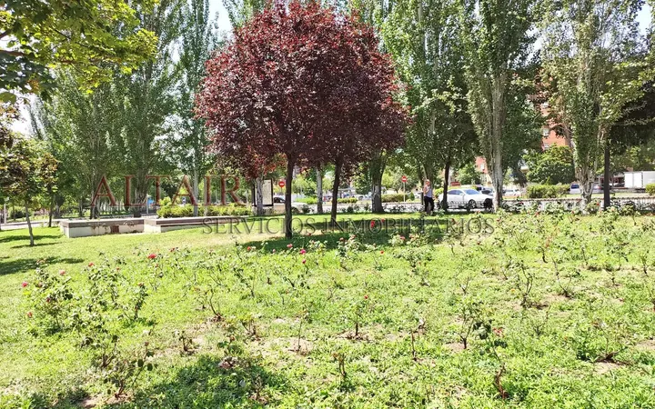 Piso en  Avenida de Orovilla - Foto 47