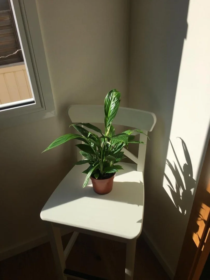 Ático en Barrio Sants - Badal - Foto 9