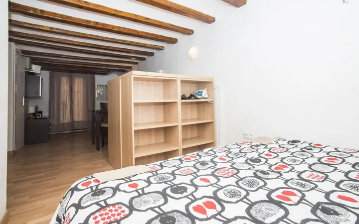Estudio en Calle d'En Cortines, Sant Pere - Santa Caterina i la Ribera - Foto 1