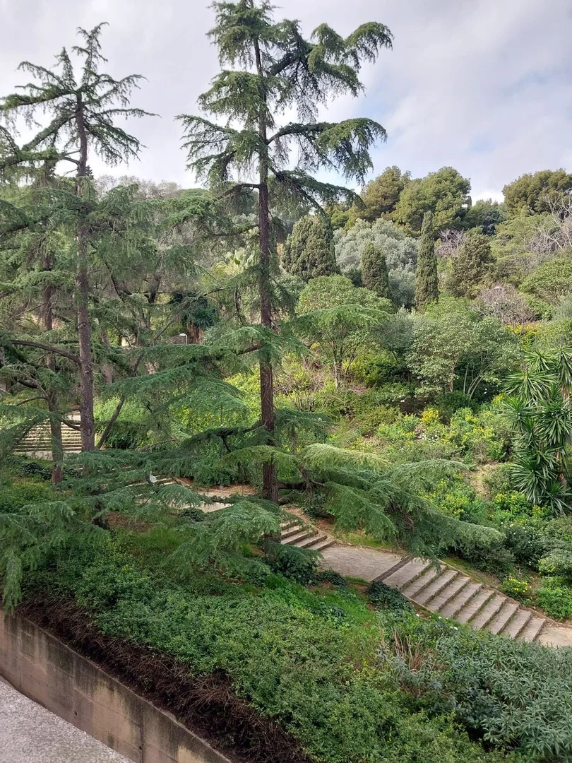 Piso en calle d'Homer, 61 - Foto 7