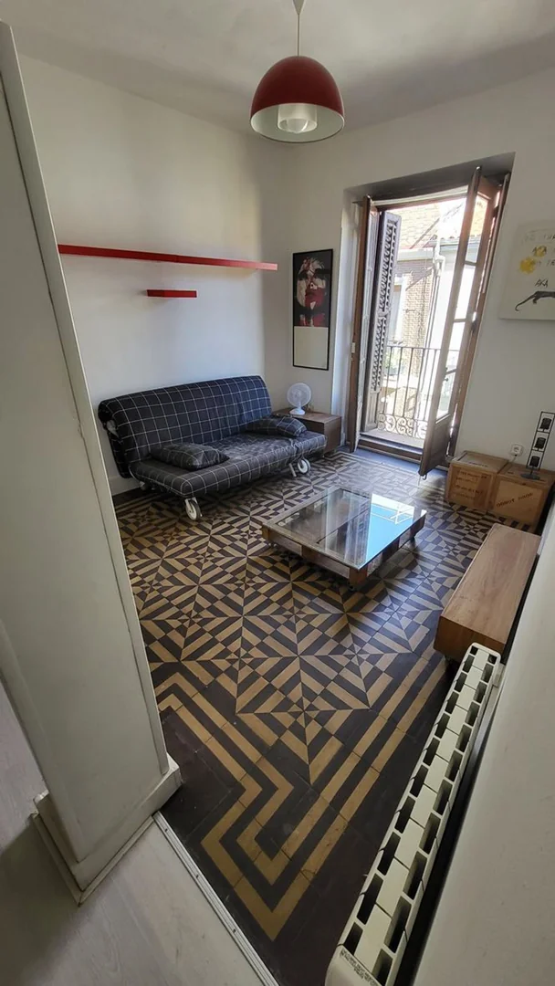 Estudio en Calle de las Dos Hermanas, 20, Lavapiés-Embajadores - Foto 2