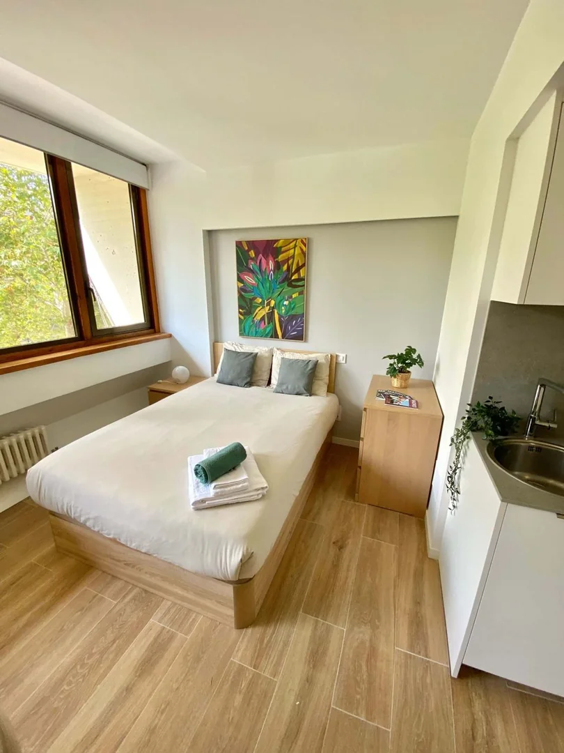 Estudio en Avenida del Doctor Federico Rubio y Galí, 11, Bellas Vistas - Foto 14