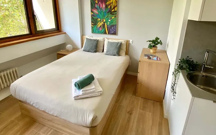 Estudio en Avenida del Doctor Federico Rubio y Galí, 11, Bellas Vistas - Foto 14