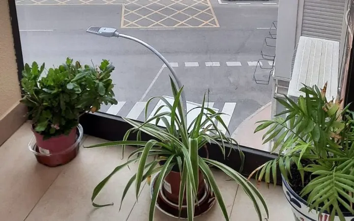Piso en Calle de la Encomienda de Palacios, 300, Pavones - Foto 17