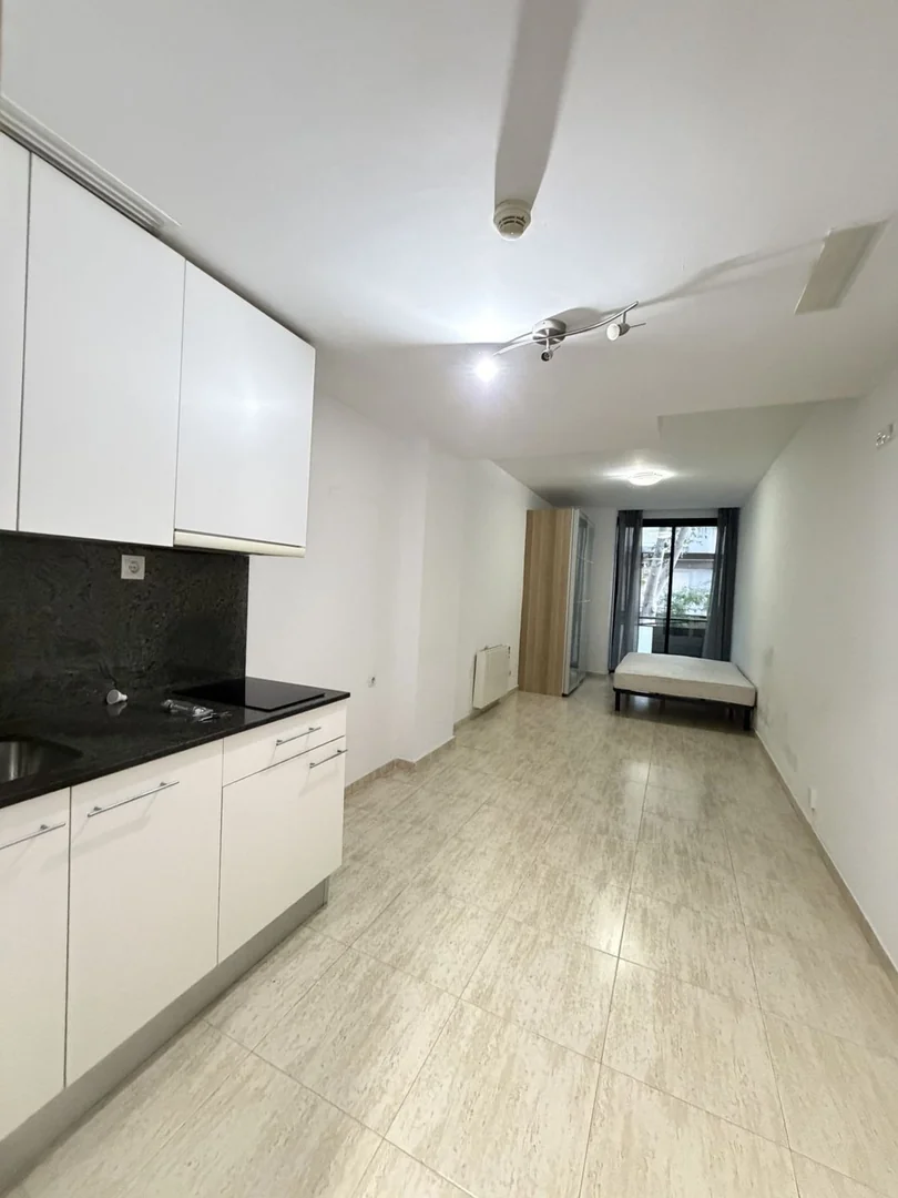 Estudio en Calle d'Espronceda, El Poblenou - Foto 6