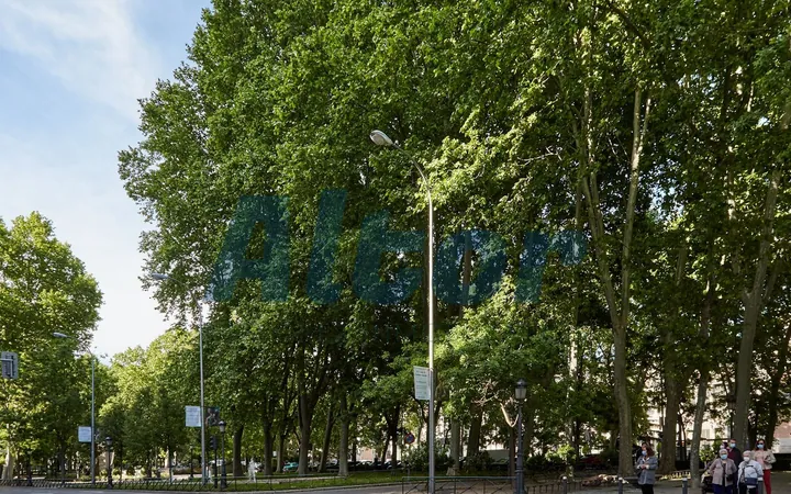 Piso en Paseo del Prado, Huertas-Cortes - Foto 45