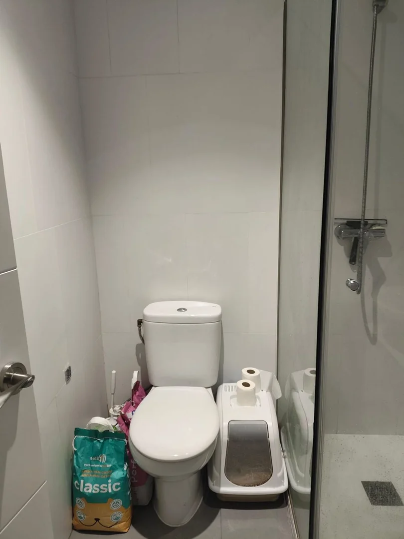 Piso en Barrio Lavapiés-Embajadores - Foto 12