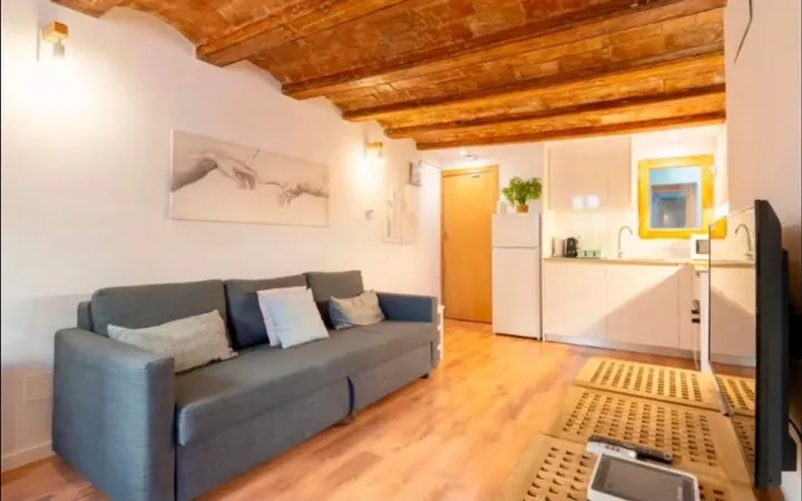 Piso en Calle de Ferlandina, 53, El Raval - Foto 13