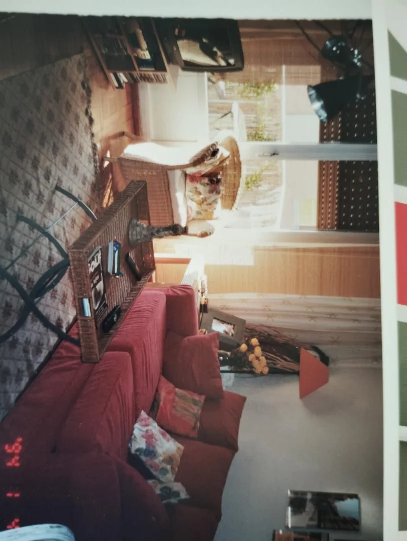 Piso en  Calle de José Castán Tobeñas 1